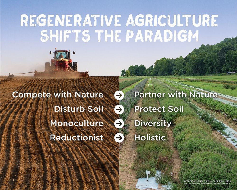 Regenerative Agriculture | Ghana